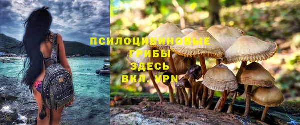 индика Куйбышев