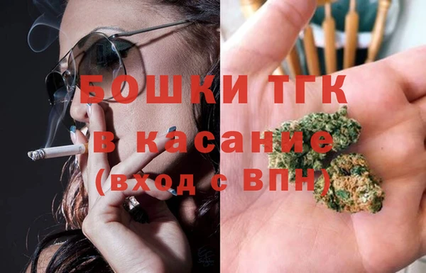 индика Куйбышев